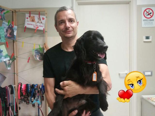 Buona vita, Homer!